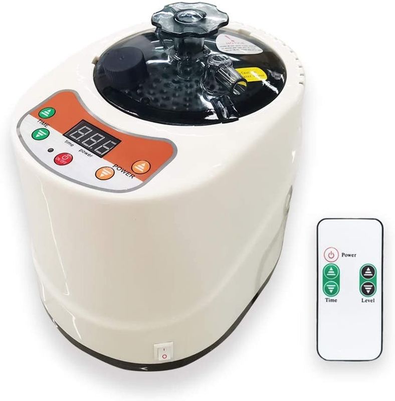 2 Liter Modern Portable Sauna Steam Pot Generator For Home Steam Saunas Spa Machine For Body Detox Weight Loss US EU Plug